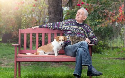 An Older Man Sits On A Bench With His Dog And Cat, Enjoying The Sunshine And Thinking About Creating A Trust For His Pets In His Estate Plan.